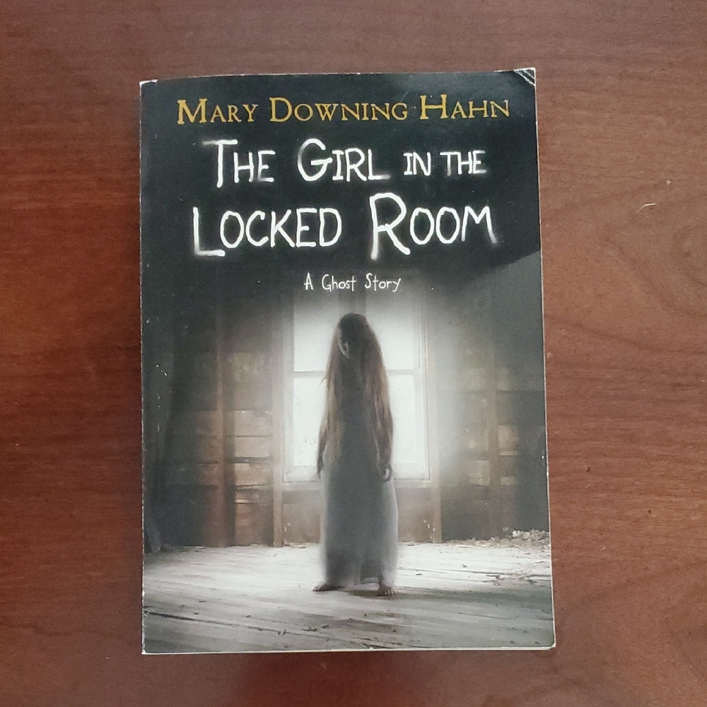 The Girl in the Locked Room Book